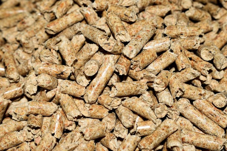 Heizen mit Holz: Vorteile, Tipps & Sicherheit