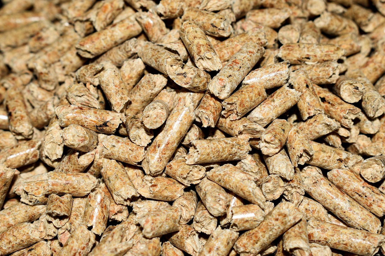 Heizen mit Holz: Vorteile, Tipps & Sicherheit